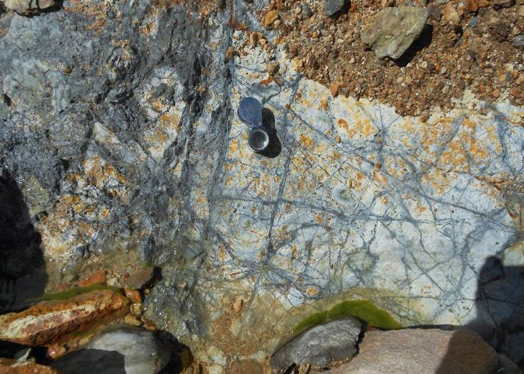 Capricho Outcrop sample of mineralized quartz – pyrite -chalcopyrite stockwork.